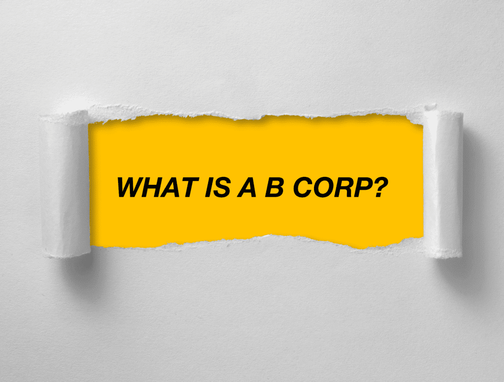 wat is b corp what is b corp